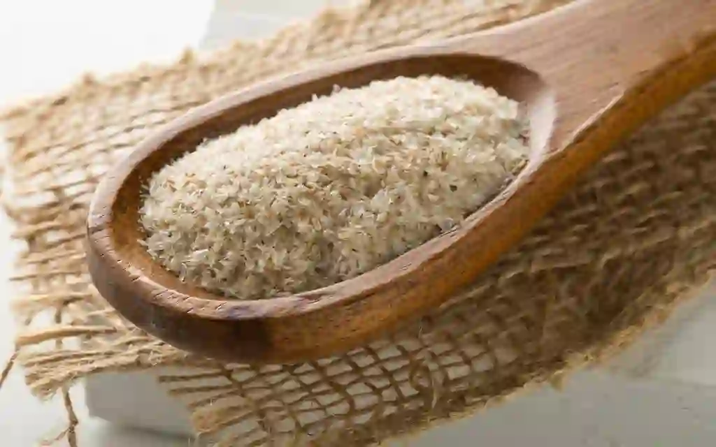 فوائد وأضرار قشر السيلوم