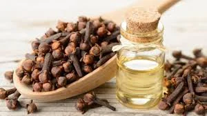 زيت الزيتون و القرنفل لتطويل الشعر