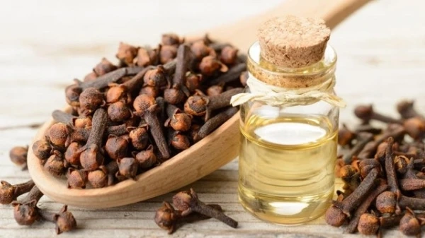 القرنفل المطحون مع زيت جوز الهند للشعر