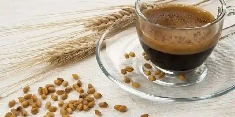 فوائد قهوة الشعير للتنحيف