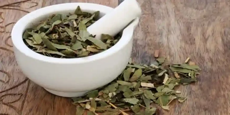 جرعة شرب السنامكي للتخسيس يوميا