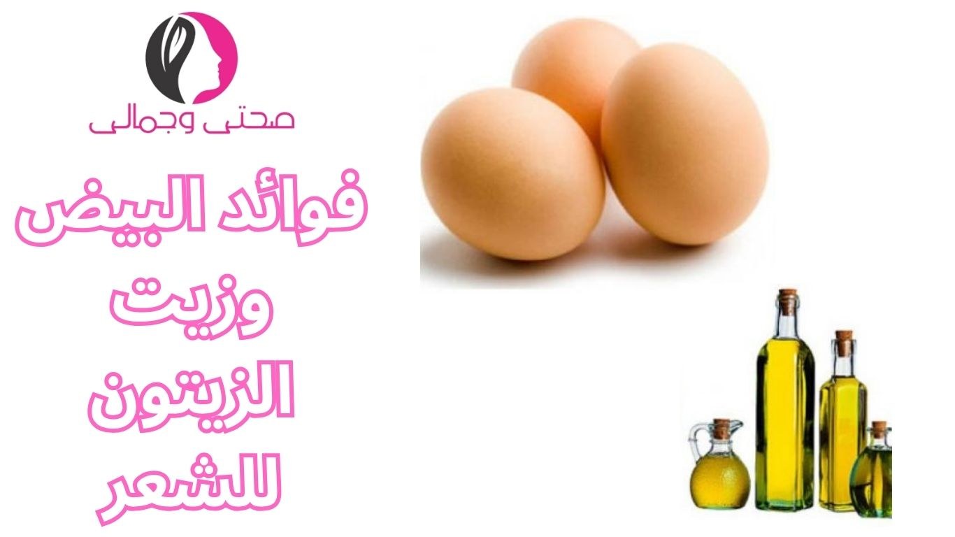 فوائد البيض وزيت الزيتون للشعر