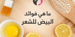ما هي فوائد البيض للشعر
